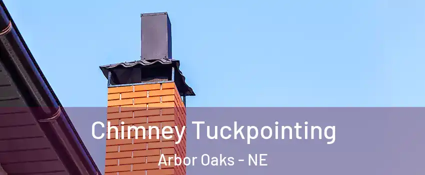 Chimney Tuckpointing Arbor Oaks - NE