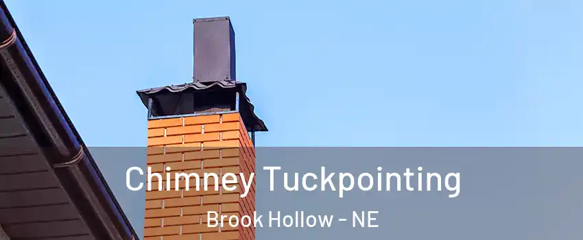 Chimney Tuckpointing Brook Hollow - NE