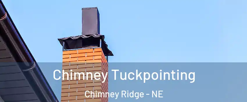 Chimney Tuckpointing Chimney Ridge - NE