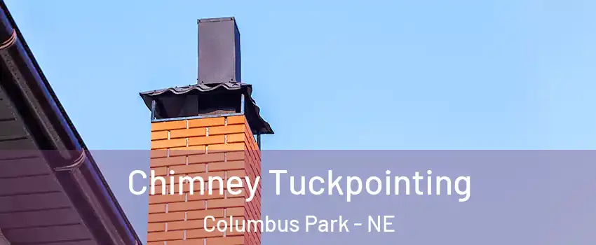 Chimney Tuckpointing Columbus Park - NE
