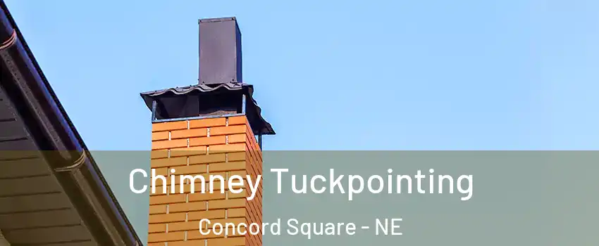 Chimney Tuckpointing Concord Square - NE