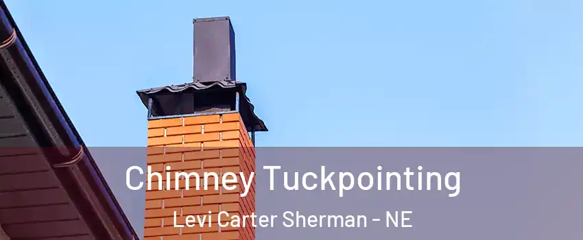Chimney Tuckpointing Levi Carter Sherman - NE