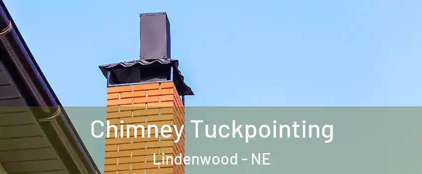 Chimney Tuckpointing Lindenwood - NE