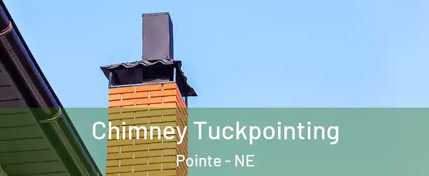 Chimney Tuckpointing Pointe - NE