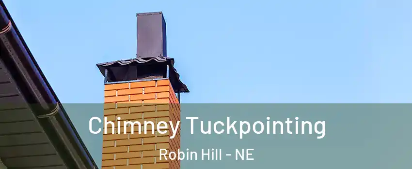 Chimney Tuckpointing Robin Hill - NE