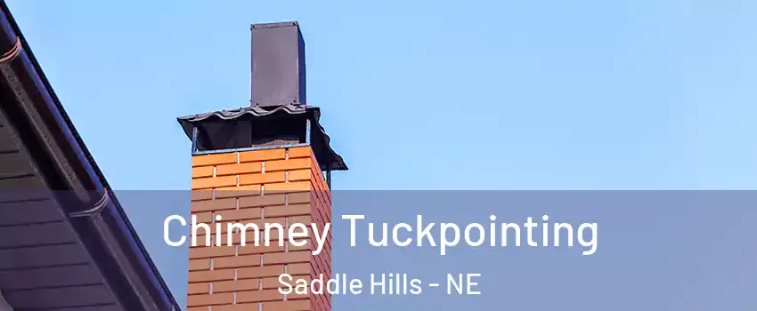 Chimney Tuckpointing Saddle Hills - NE