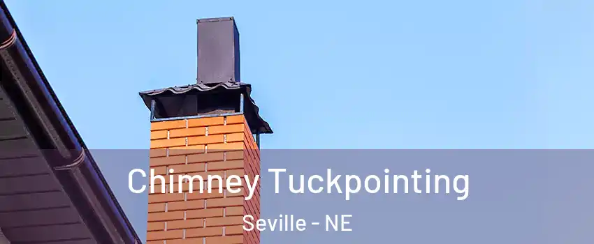 Chimney Tuckpointing Seville - NE