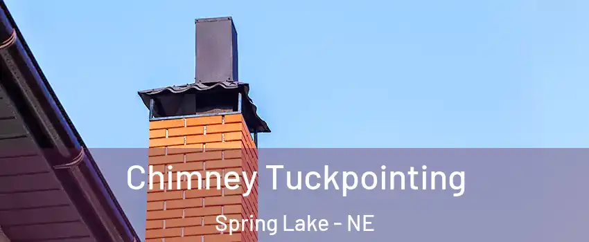 Chimney Tuckpointing Spring Lake - NE