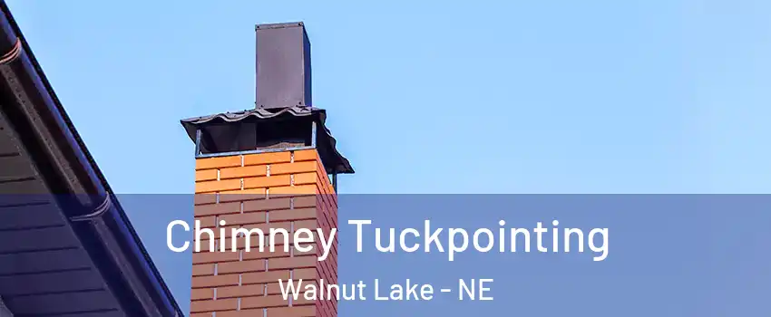 Chimney Tuckpointing Walnut Lake - NE