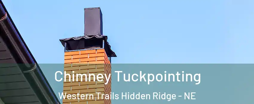 Chimney Tuckpointing Western Trails Hidden Ridge - NE