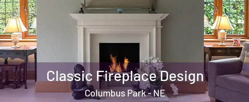 Classic Fireplace Design Columbus Park - NE