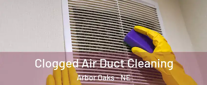 Clogged Air Duct Cleaning Arbor Oaks - NE