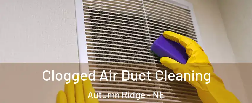 Clogged Air Duct Cleaning Autumn Ridge - NE
