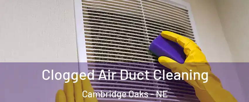 Clogged Air Duct Cleaning Cambridge Oaks - NE