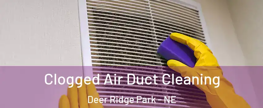 Clogged Air Duct Cleaning Deer Ridge Park - NE