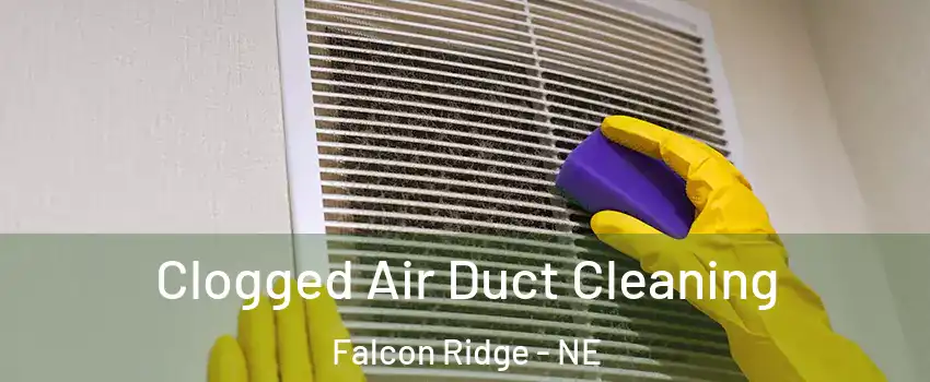 Clogged Air Duct Cleaning Falcon Ridge - NE