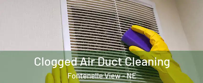 Clogged Air Duct Cleaning Fontenelle View - NE