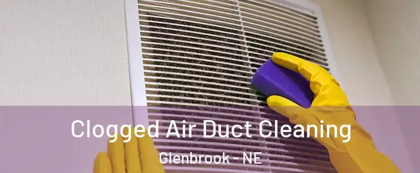 Clogged Air Duct Cleaning Glenbrook - NE