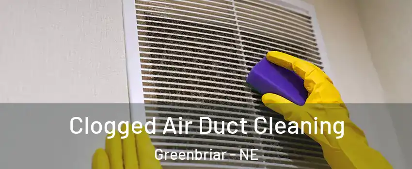 Clogged Air Duct Cleaning Greenbriar - NE