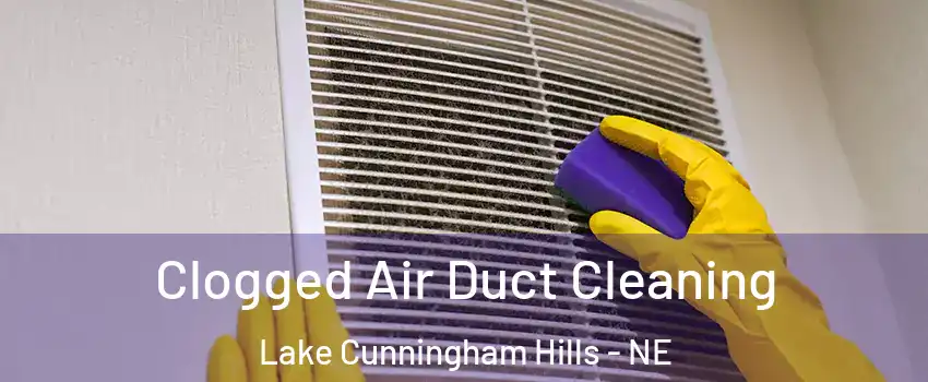 Clogged Air Duct Cleaning Lake Cunningham Hills - NE