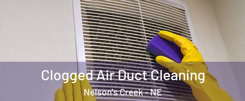 Clogged Air Duct Cleaning Nelson's Creek - NE