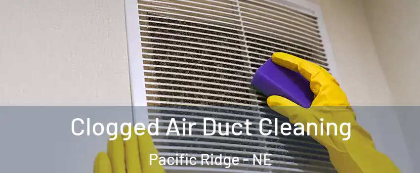 Clogged Air Duct Cleaning Pacific Ridge - NE