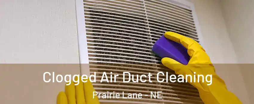 Clogged Air Duct Cleaning Prairie Lane - NE