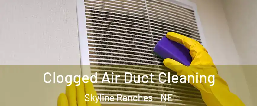 Clogged Air Duct Cleaning Skyline Ranches - NE
