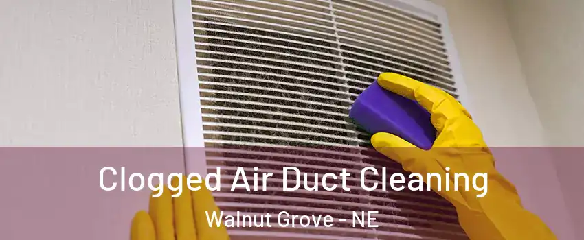 Clogged Air Duct Cleaning Walnut Grove - NE