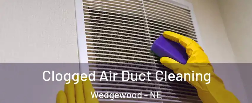 Clogged Air Duct Cleaning Wedgewood - NE