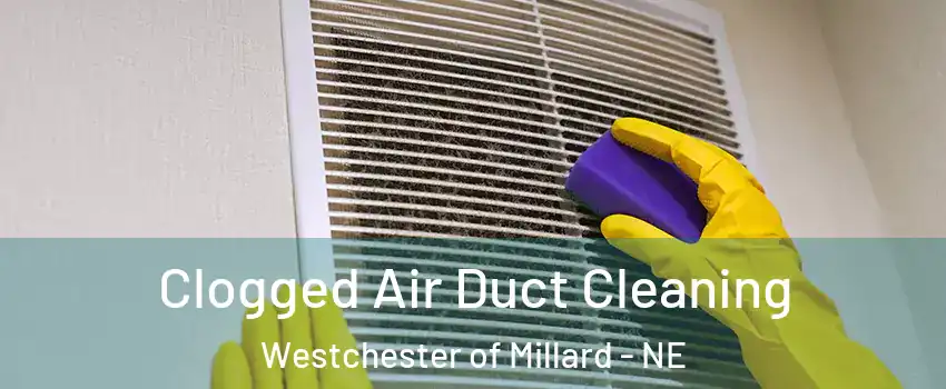Clogged Air Duct Cleaning Westchester of Millard - NE