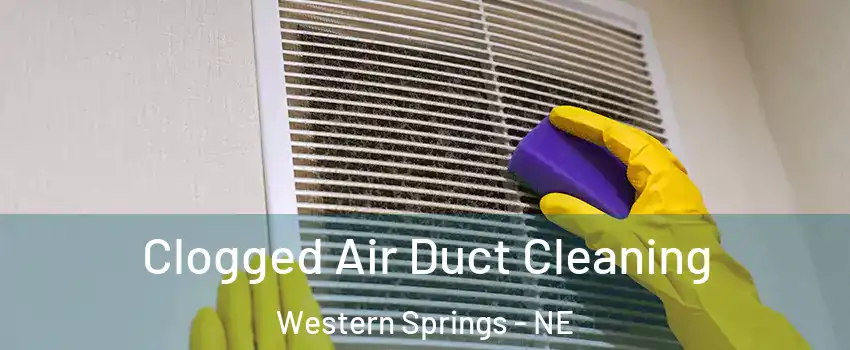 Clogged Air Duct Cleaning Western Springs - NE