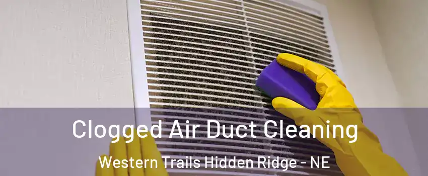 Clogged Air Duct Cleaning Western Trails Hidden Ridge - NE