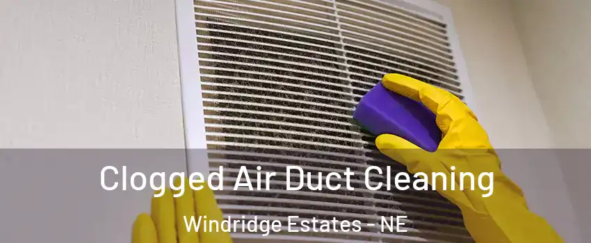 Clogged Air Duct Cleaning Windridge Estates - NE