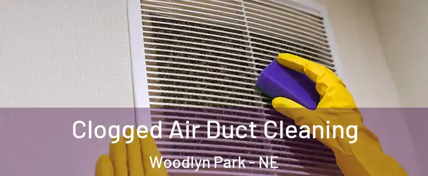 Clogged Air Duct Cleaning Woodlyn Park - NE