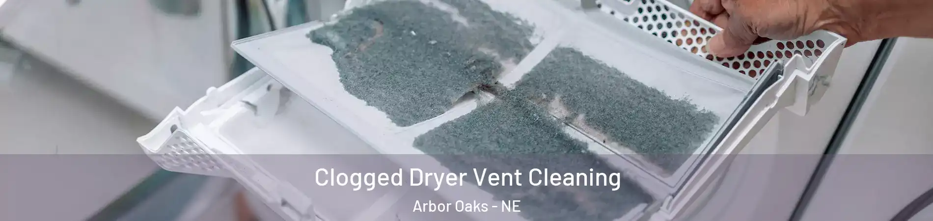 Clogged Dryer Vent Cleaning Arbor Oaks - NE