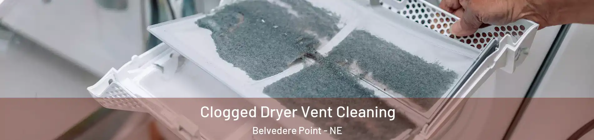 Clogged Dryer Vent Cleaning Belvedere Point - NE