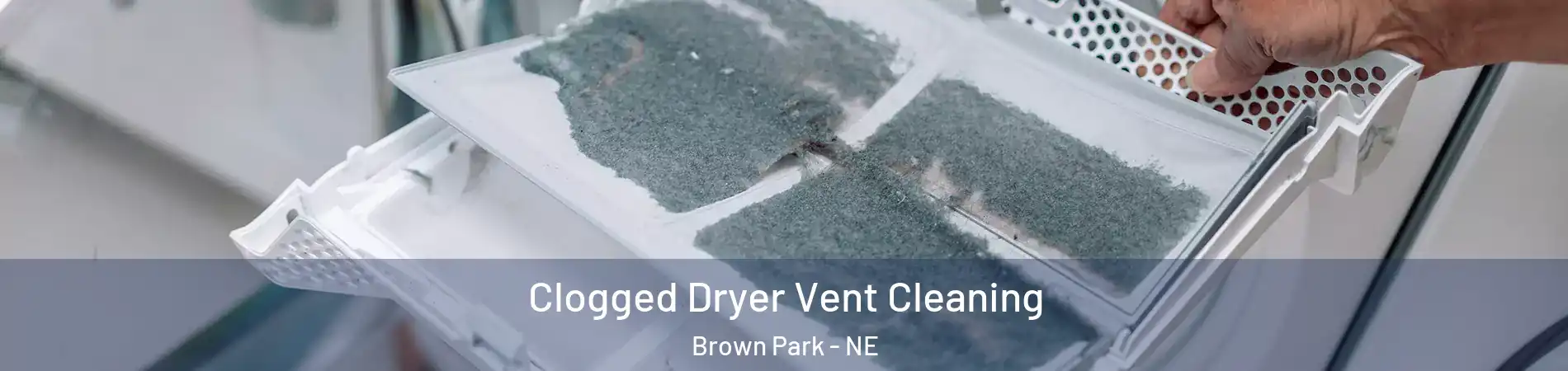 Clogged Dryer Vent Cleaning Brown Park - NE