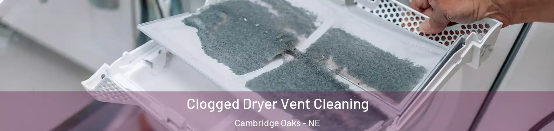 Clogged Dryer Vent Cleaning Cambridge Oaks - NE
