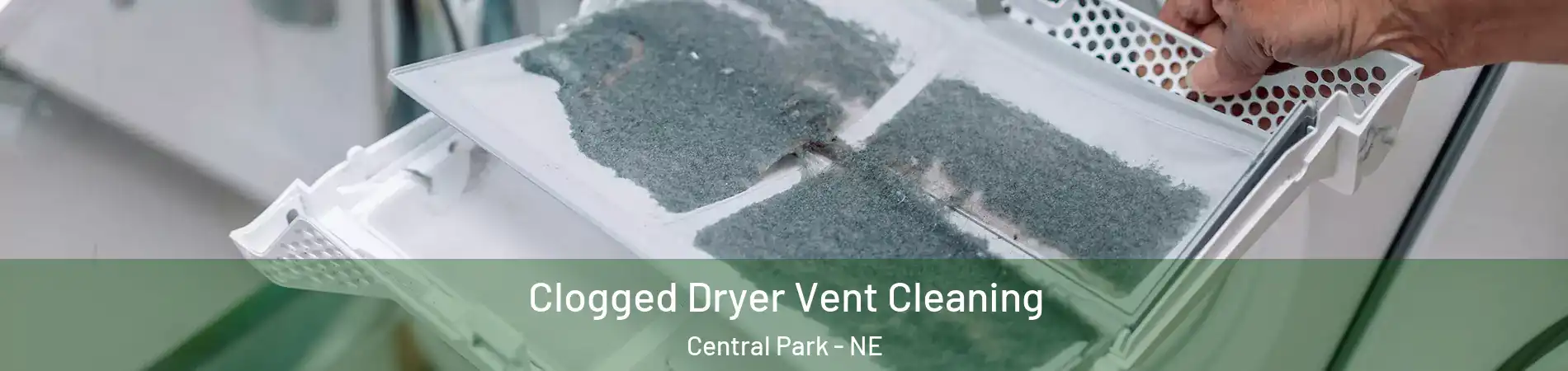 Clogged Dryer Vent Cleaning Central Park - NE