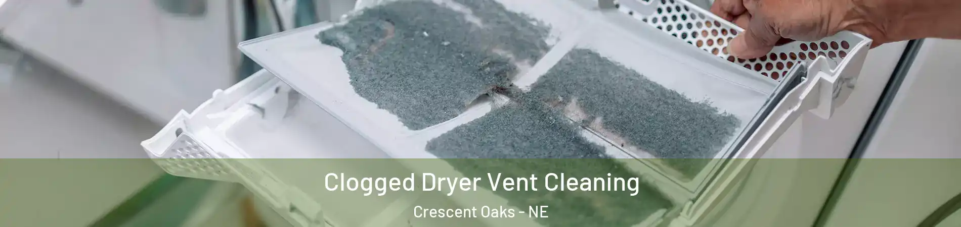 Clogged Dryer Vent Cleaning Crescent Oaks - NE