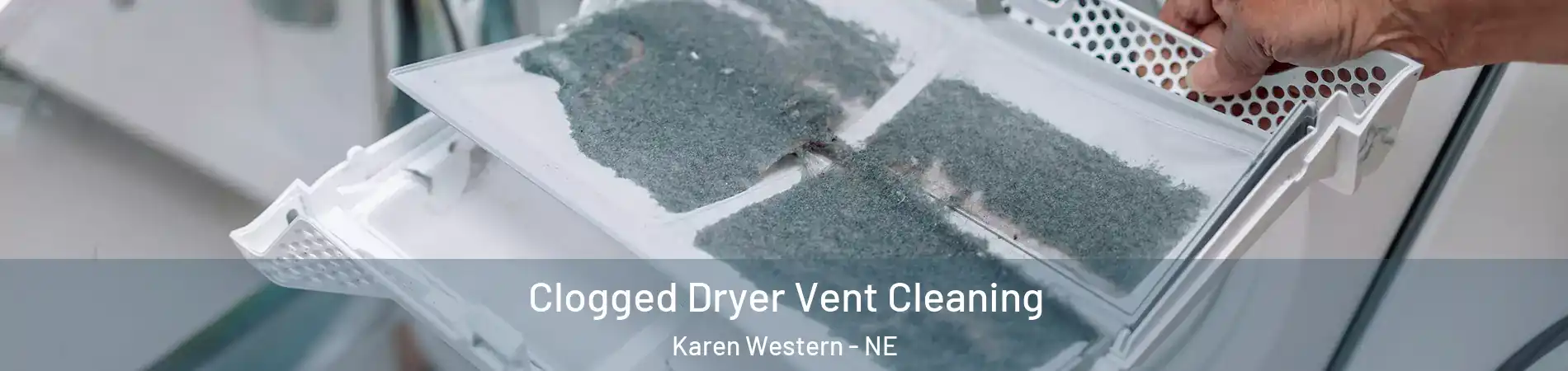 Clogged Dryer Vent Cleaning Karen Western - NE