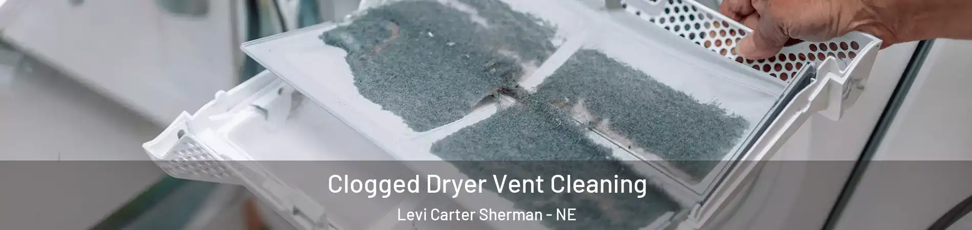 Clogged Dryer Vent Cleaning Levi Carter Sherman - NE