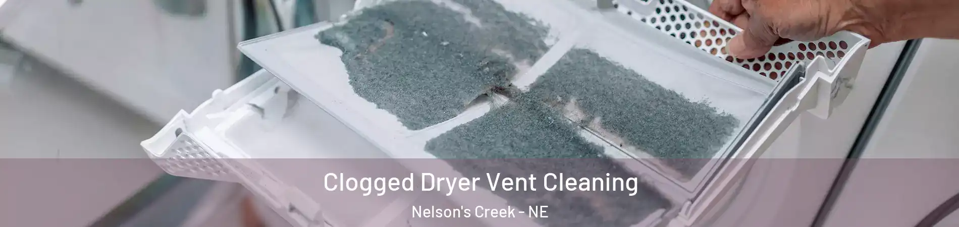 Clogged Dryer Vent Cleaning Nelson's Creek - NE