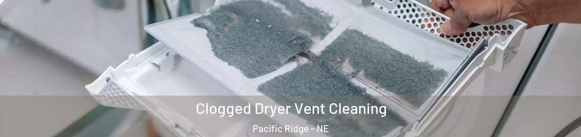 Clogged Dryer Vent Cleaning Pacific Ridge - NE