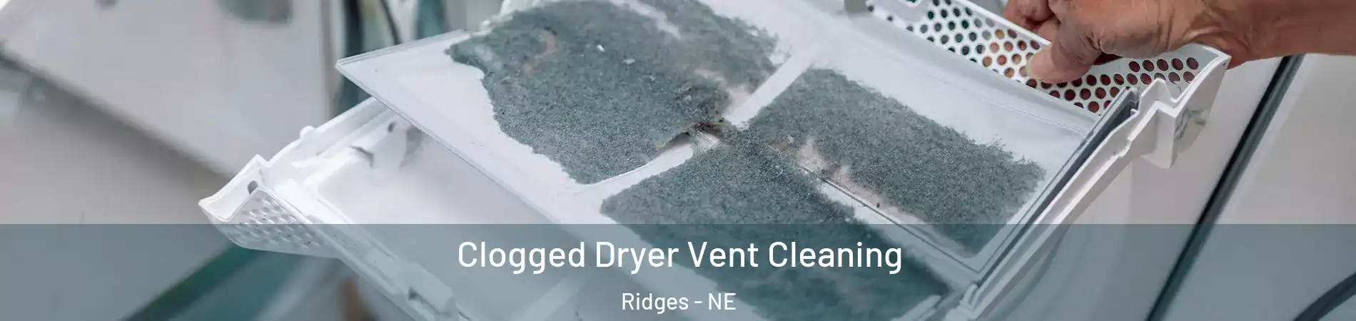 Clogged Dryer Vent Cleaning Ridges - NE