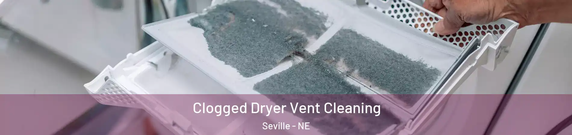 Clogged Dryer Vent Cleaning Seville - NE
