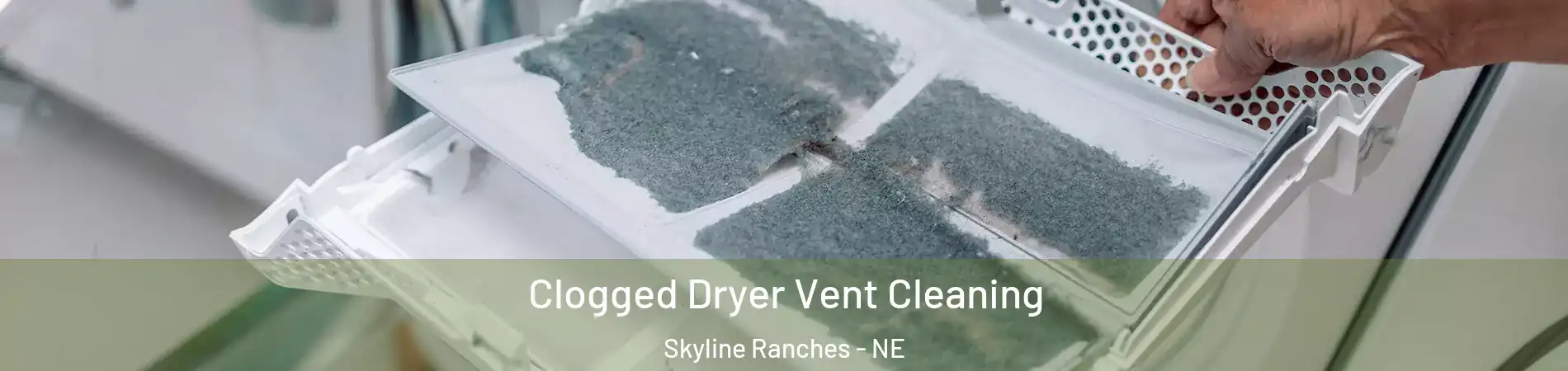 Clogged Dryer Vent Cleaning Skyline Ranches - NE