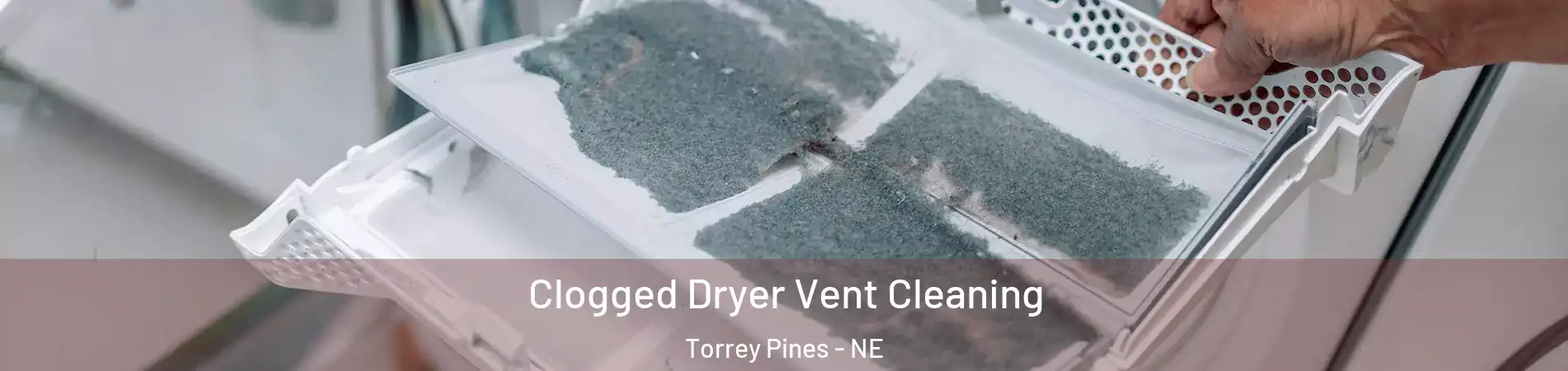 Clogged Dryer Vent Cleaning Torrey Pines - NE