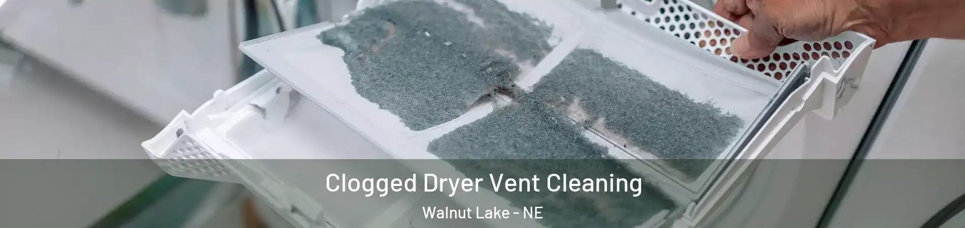 Clogged Dryer Vent Cleaning Walnut Lake - NE